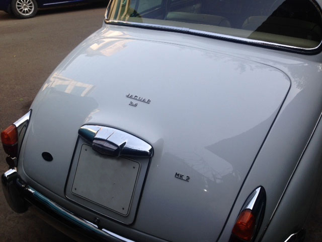 Jaguars of The Sixties